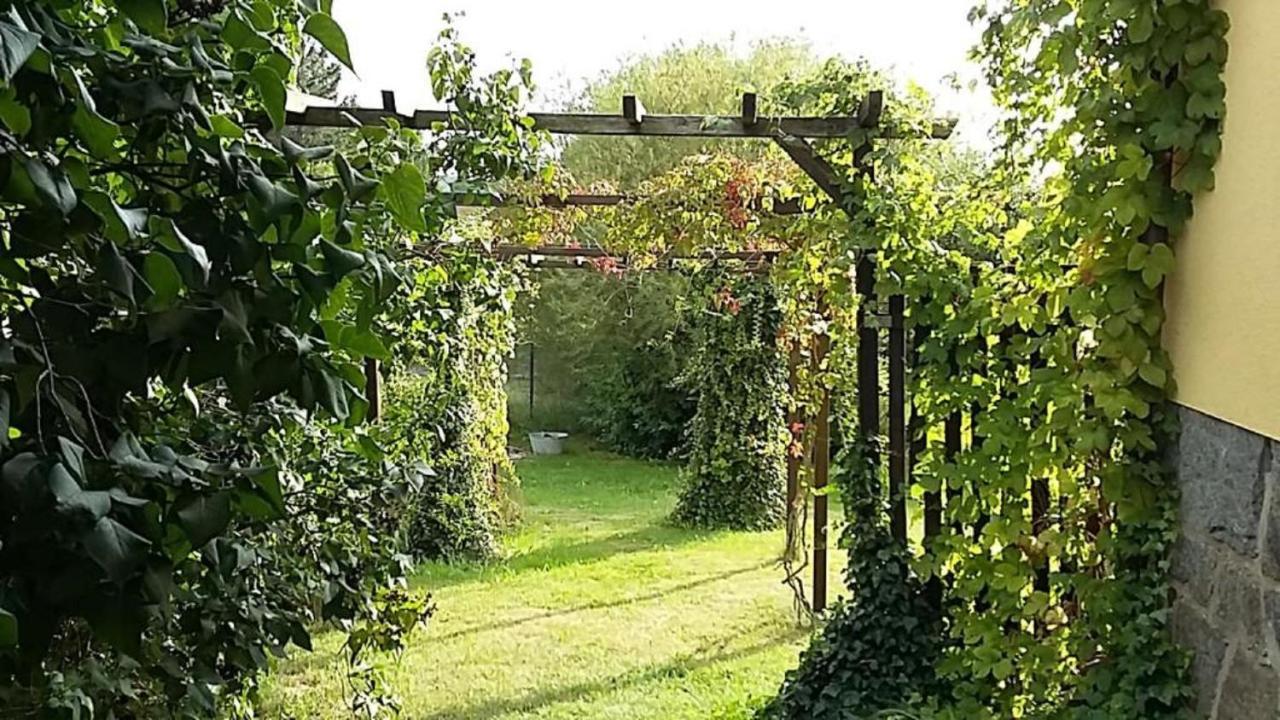Genesungsort Landhaus Dammert Oppach Exteriér fotografie